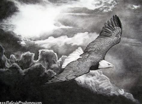 Eagle Eagle Art Eagle Drawing Eagle Charcoal Drawing Custom