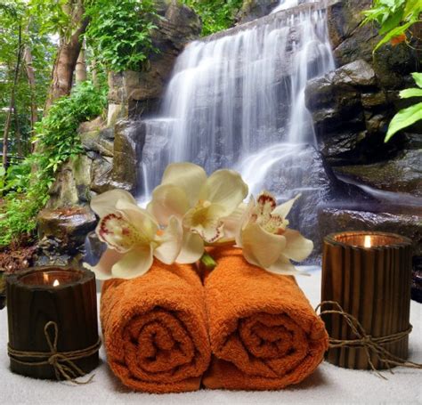 Spa Massage Bien être Wellness Zen Nature Relaxation Images Photos Gratuites Libres De Droits