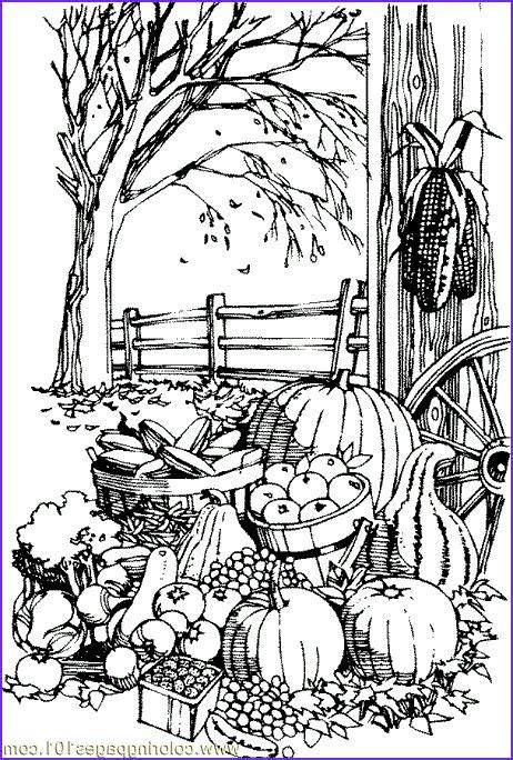 Fall Harvest Coloring Page Free Autumn Coloring Pages Fall Coloring
