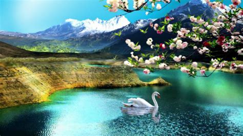 Hd Nature Wallpapers Flowers Cute Desktop Images