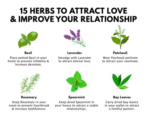 15 Herbs To Attract Love Into Your Life And Improve Relationships