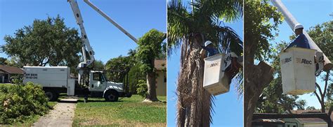 State road 434, winter springs, fl 32708 ph: Tree Services Miami and Broward - Affordable Tree Service ...