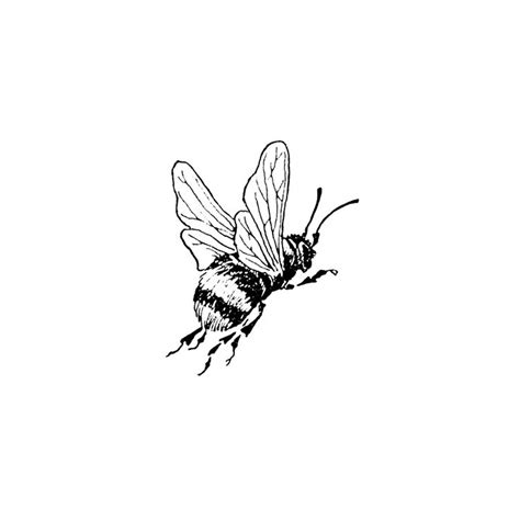 Big Bumble Bee 1322d Bee Tattoo Bumble Bee Tattoo Bee Drawing