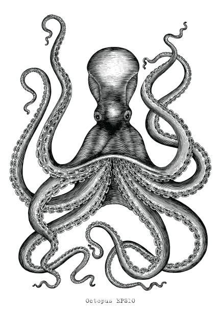 Kraken Illustrations Royalty Free Vector Graphics And Clip Art Istock