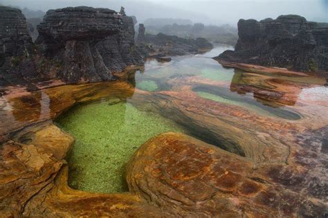 ロライマ山頂台地を流れるジャグジーと呼ばれる美しい渓流 ＜ギアナ高地のベネズエラ、ガイアナ、ブラジルの三つの国境にまたがっているテーブル