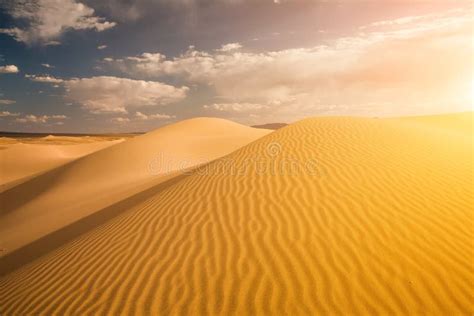 Beautiful Sunset In The Sahara Desert Stock Photo Image Of Beautiful