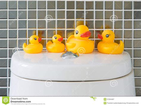 Rubber Ducks Stock Image Image Of Baby Child Bathtub 37204467
