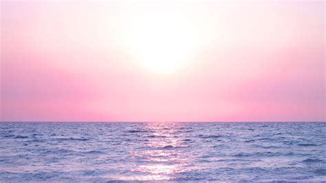 Pink Horizon Wallpaper 2560x1440 31372