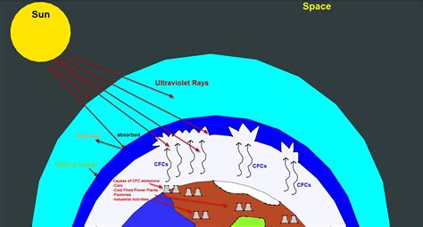Human activity has damaged this protective layer of the stratosphere and while ozone layer health has improved, there's still much to be done. What is the difference between ozone depletion and global ...