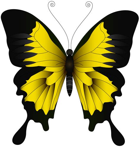 Yellow Butterfly Png - Free Logo Image png image