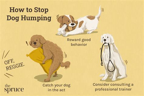Best Toy For Dogs To Hump Wow Blog