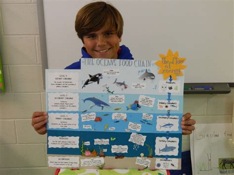 5th Grade Science Food Chain