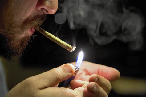 cannabis meglio prestare attenzione alle conseguenze del fumo passivo dolcevita
