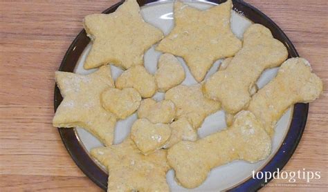 If your dog has diabetes, he can still live a long, healthy life. Recipe: Beefy Dog Treat Biscuits (With images) | Dog food recipes, Diabetic dog treat recipe, Food