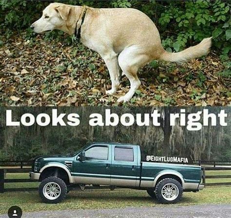 Hope You Love Our Collection Of Ford Meme Ford Memes Funny Ford Memes