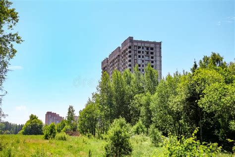 Urban Forest New Buildings Stock Image Image Of Excessive 44722607