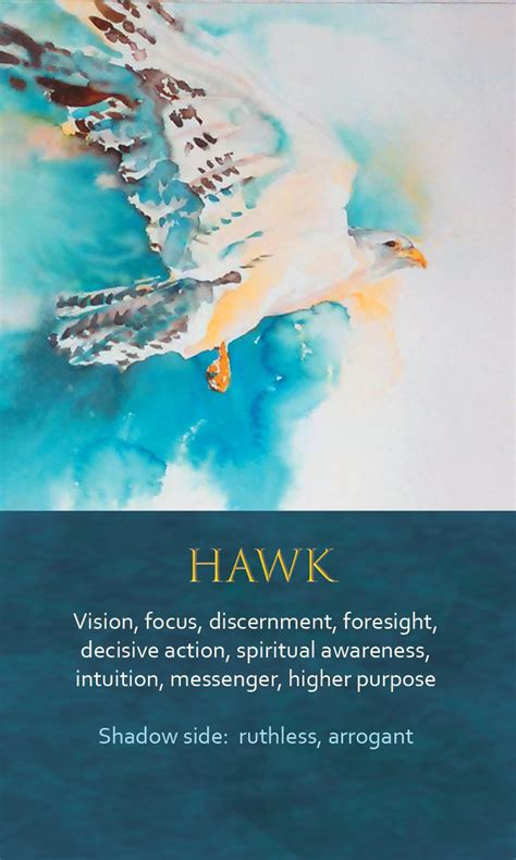 Spirit Animal Awareness Oracle Cards Hawk Hawk Spirit Animal