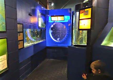 The Lake District Coast Aquarium Places To Go Lets Go With The Children