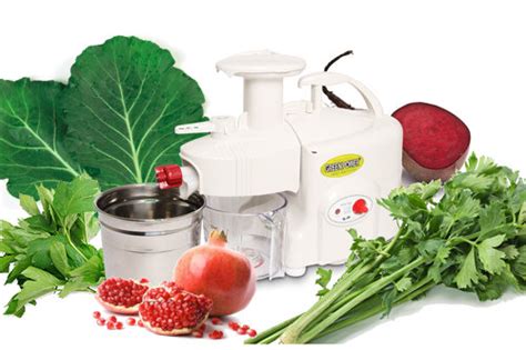 Twin Gear Juice Extractor Twin Gear Juicer Id 2906061 Product