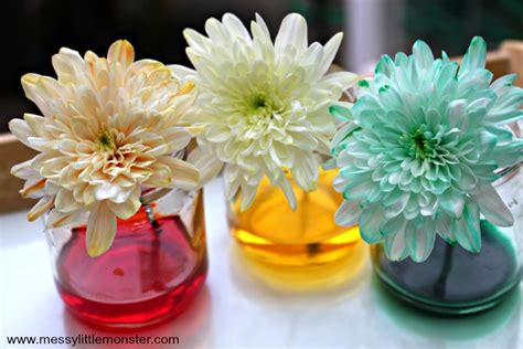 We did not find results for: Colour Changing Flowers Science Experiment - A fun science ...
