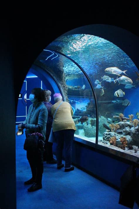 Underwater Tunnel With Aquariums In The Aquarium For Visitors With Sea