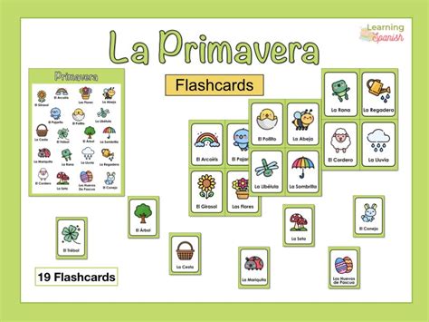 Flashcards Spring In Spanish La Primavera Fichas De Vocabulario