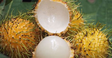 buah-buahan tempatan: disebalik buah rambutan...ada petuanya....