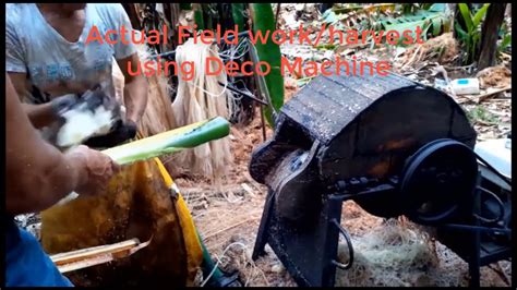 Abaca Harvesting Deco Spindle Machine Youtube
