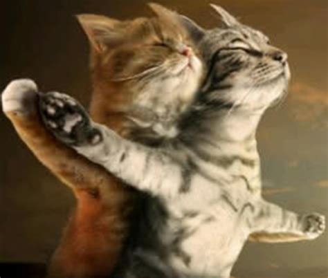 Gambar Lucu Dan Unik - Ngulas.blogspot.com