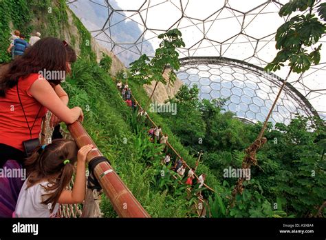 Inside The Tropical Biome At The Eden Project In Cornwall Britain Uk