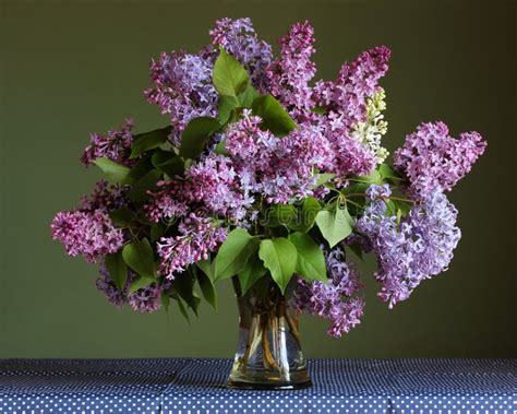 Bouquet Of Purple Lilac In A Glass Vase Stock Image Image Of Lilac