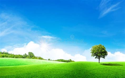 Green Tree With Grass Meadow Field And Little Hill With White Clouds