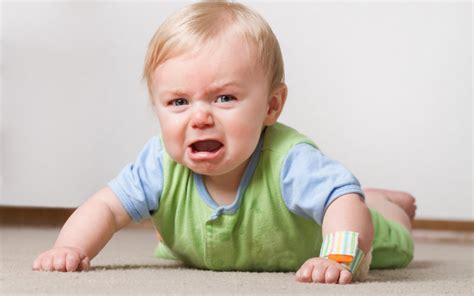 Toddlers Challenging Behaviors Temper Tantrums The Loved Child