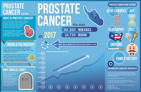 Prostate Cancer Brochure On Behance