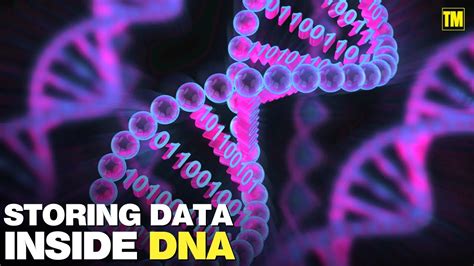 DNA Data Storage The Solution To Data Storage Shortage YouTube