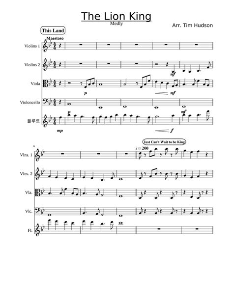 The Lion King Medley Sheet Music For Flute Strings Viola Cello