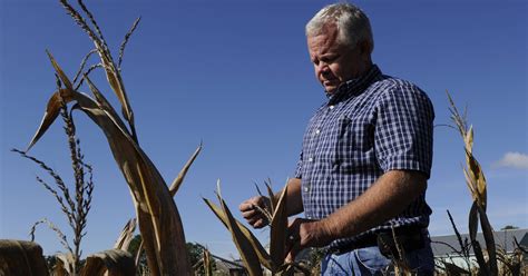 Midwest Drought Devastates Businesses Strains The Mood Of The Region