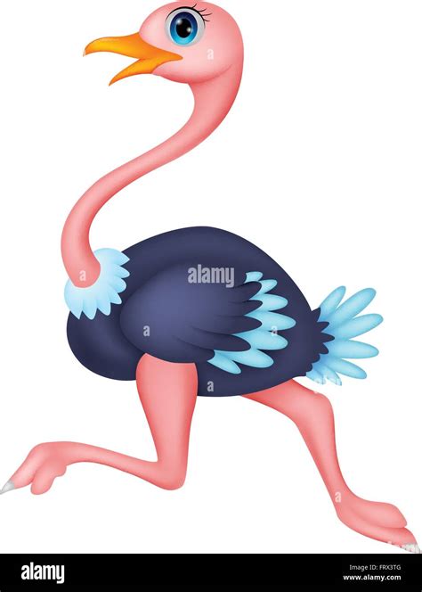 Cute Ostrich Cartoon Running Stock Vector Image And Art Alamy