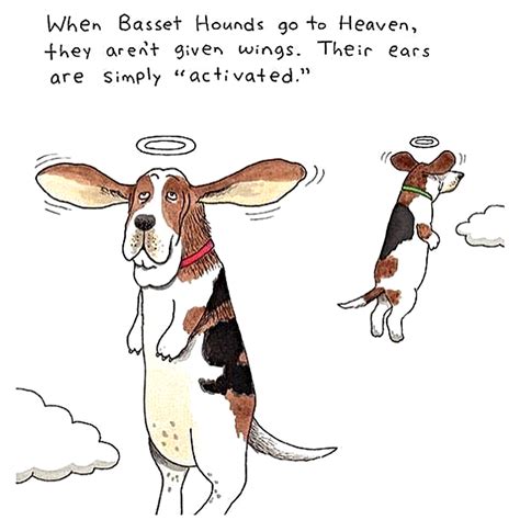 Ha Ha Ha Bassett Hound Bloodhound Dawgs I Love Dogs Funny Dogs