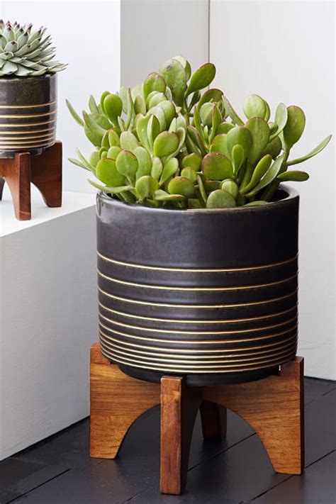 15 Stylish Indoor Flower Pots Affordable Indoor Pots For Your Plants