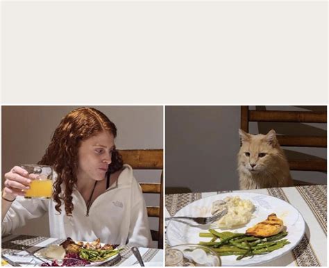 Invest In The Cat At Dinner Table Meme Template Rmemeeconomy