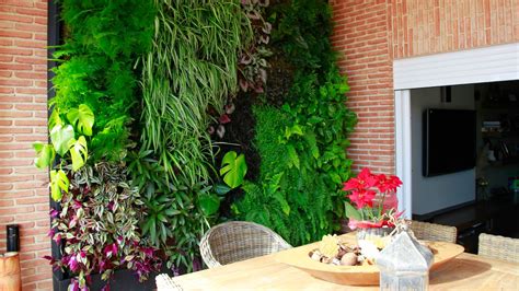 Jardines Y Plantas — Los Beneficios De Un Jardín Vertical Interior