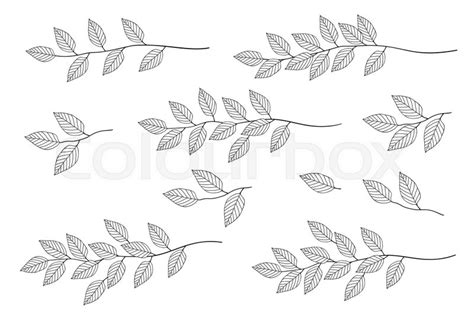 Hand Drawn Isolated Branches With Stock Vector Colourbox