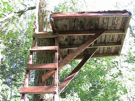 A Ladder Is Attached To The Side Of A Tree House