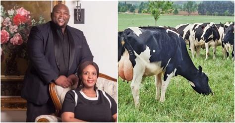 President cyril ramaphosa's government is denying it, but the south african press reports if anyone can make the thuggish african national congress and its leader, ramaphosa, reconsider their plot to. South African President Ramaphosa's 100 cows dowry price ...
