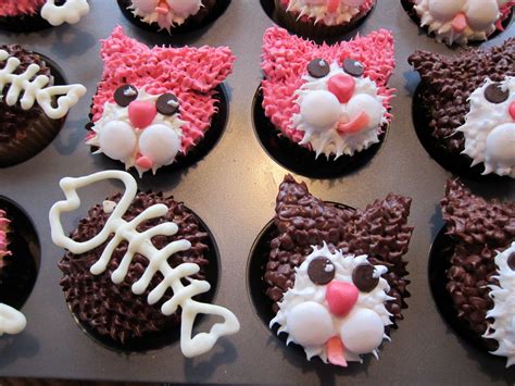 Cupcakes After College Kitty Cat Cupcakes Cat Cupcakes Cat Cake