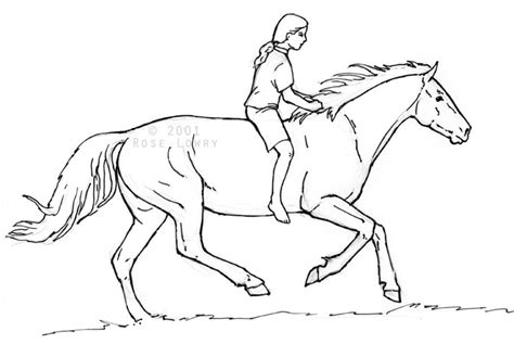 Man Riding Horse Drawing At Getdrawings Free Download