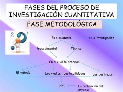 Fases Y Etapas De La Investigacion Cuantitativa Cuanti Images