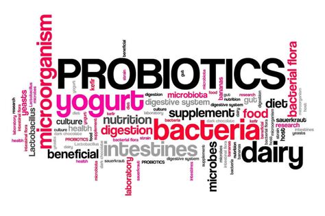 What Are The Best Probiotics For Diarrhea The Health Secrets