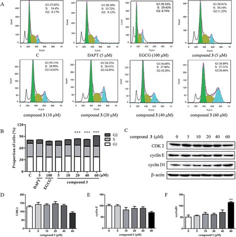 Compound 3 Induces Cell Cycle G2 Arrest In Hpb All Cells A Hpb All